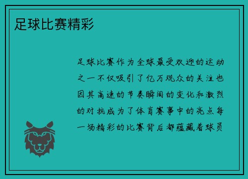 足球比赛精彩